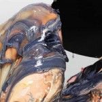 Lady Gaga: On the “Edge of Glory”