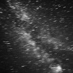 David Cao/Photography Intern
