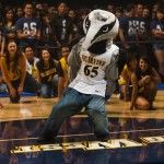Phuc Pham | New University